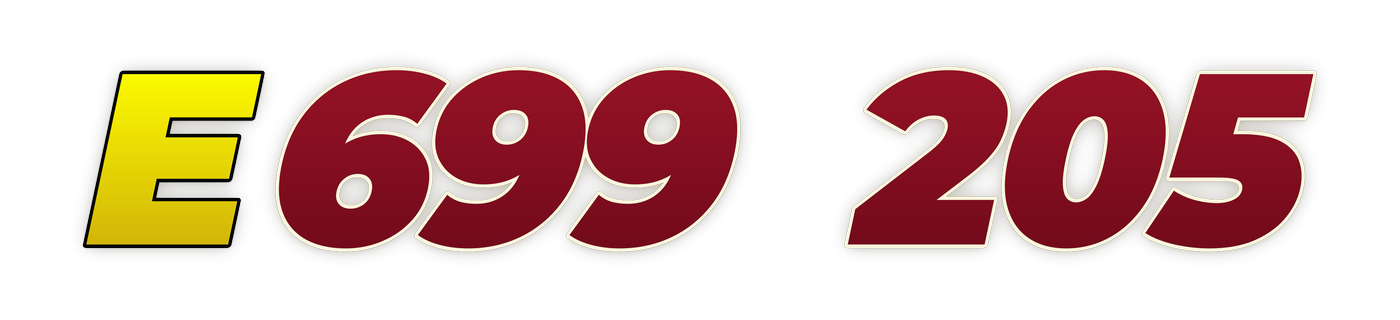 e699 205